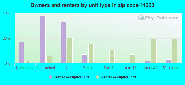 Owners and renters by unit type in zip code 11203