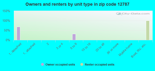 Owners and renters by unit type in zip code 12787