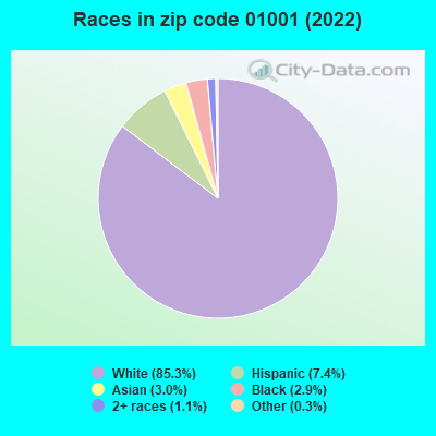 Races in zip code 01001 (2022)