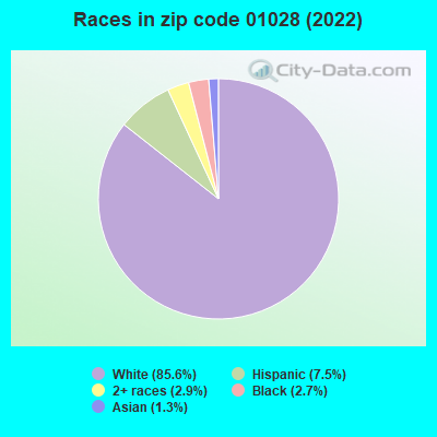 Races in zip code 01028 (2022)