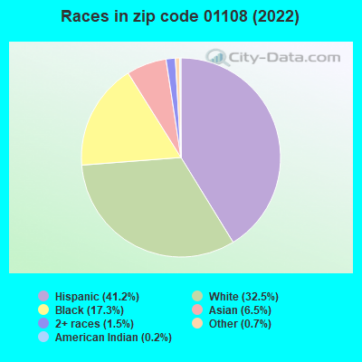 Races in zip code 01108 (2022)