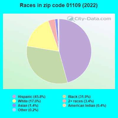 Races in zip code 01109 (2022)