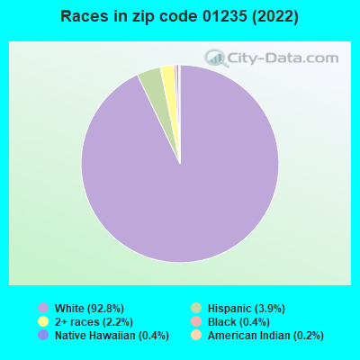 Races in zip code 01235 (2022)