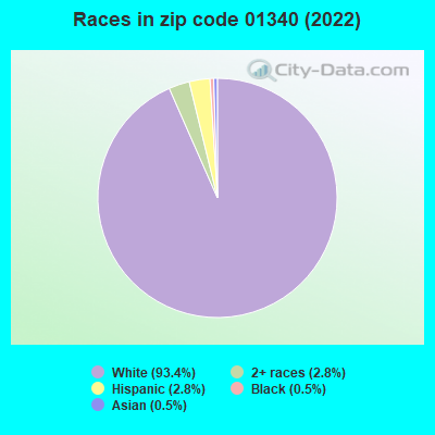 Races in zip code 01340 (2022)