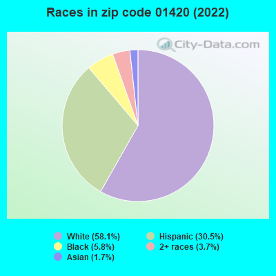 Races in zip code 01420 (2022)