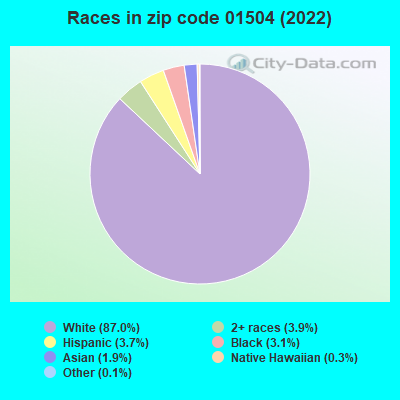 Races in zip code 01504 (2022)