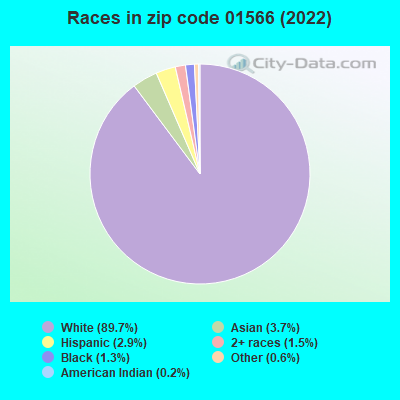 Races in zip code 01566 (2022)