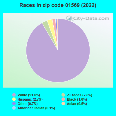 Races in zip code 01569 (2022)