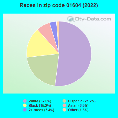 Races in zip code 01604 (2022)