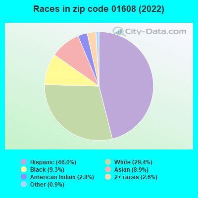 Races in zip code 01608 (2022)