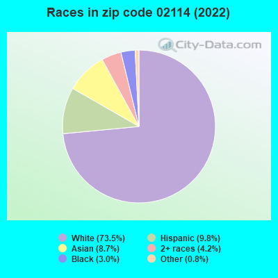 Races in zip code 02114 (2022)