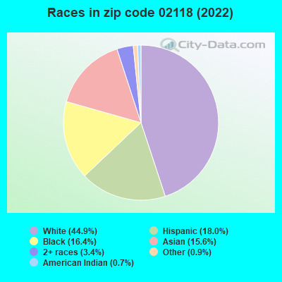 Races in zip code 02118 (2022)