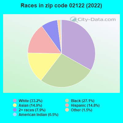 Races in zip code 02122 (2022)