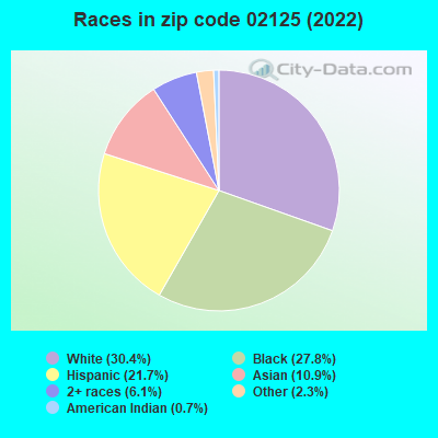 Races in zip code 02125 (2022)