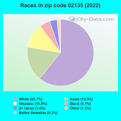Races in zip code 02135 (2022)