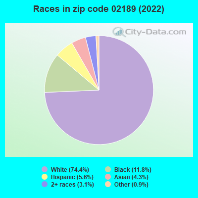 Races in zip code 02189 (2022)