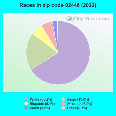 Races in zip code 02446 (2022)