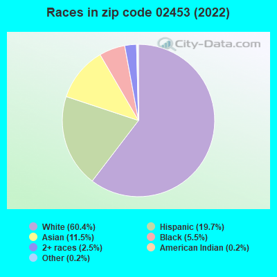 Races in zip code 02453 (2022)