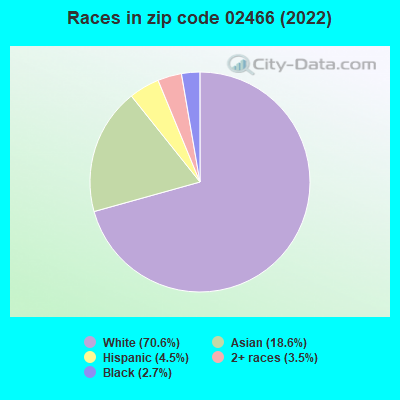 Races in zip code 02466 (2022)