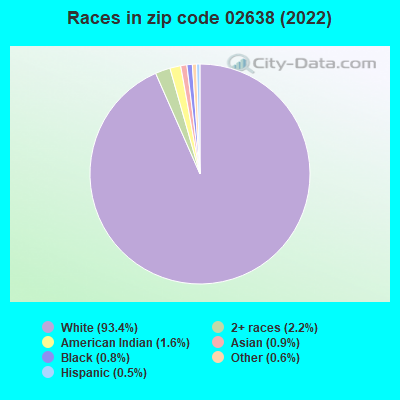 Races in zip code 02638 (2022)