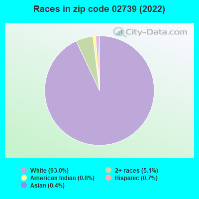 Races in zip code 02739 (2022)