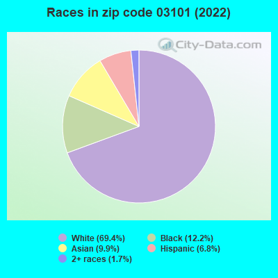 Races in zip code 03101 (2022)