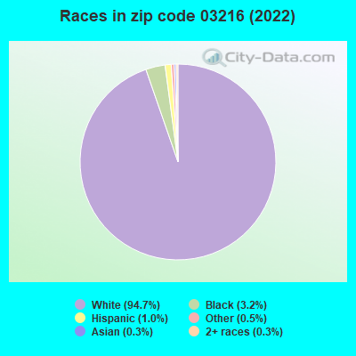 Races in zip code 03216 (2022)