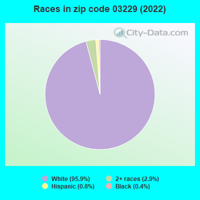 Races in zip code 03229 (2022)