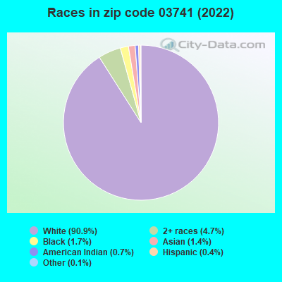Races in zip code 03741 (2022)