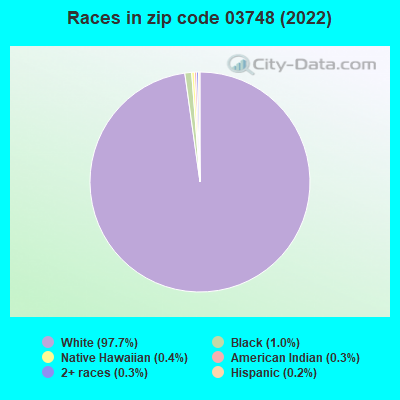 Races in zip code 03748 (2022)