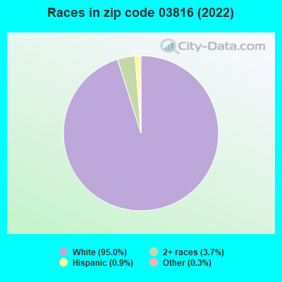 Races in zip code 03816 (2022)
