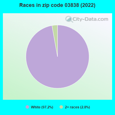 Races in zip code 03838 (2022)