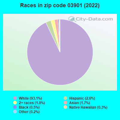 Races in zip code 03901 (2022)
