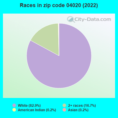 Races in zip code 04020 (2022)