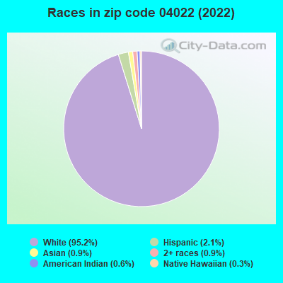 Races in zip code 04022 (2022)