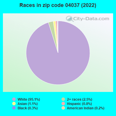 Races in zip code 04037 (2022)