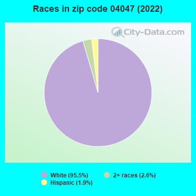 Races in zip code 04047 (2022)