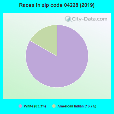 Races in zip code 04228 (2019)