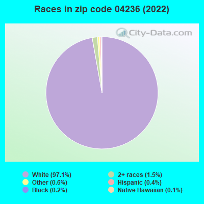 Races in zip code 04236 (2022)