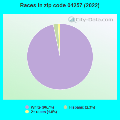 Races in zip code 04257 (2022)