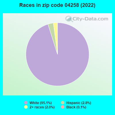 Races in zip code 04258 (2022)