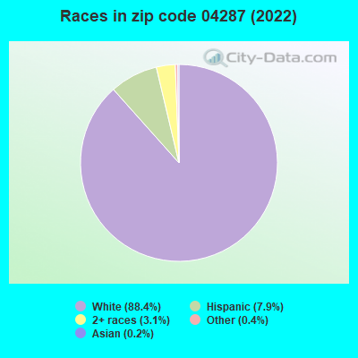 Races in zip code 04287 (2022)