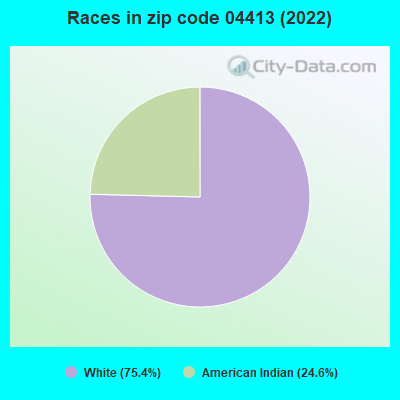 Races in zip code 04413 (2022)