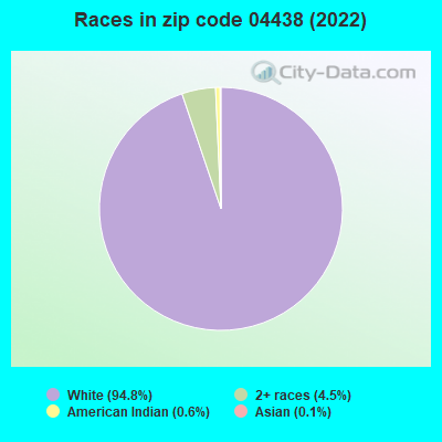 Races in zip code 04438 (2022)