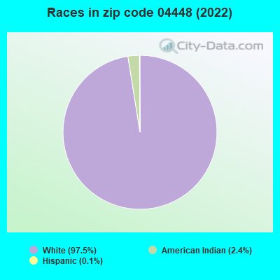 Races in zip code 04448 (2022)