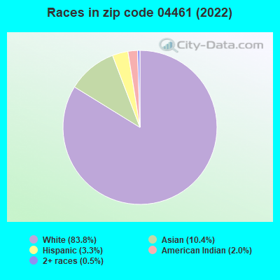 Races in zip code 04461 (2022)