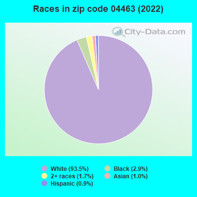 Races in zip code 04463 (2022)