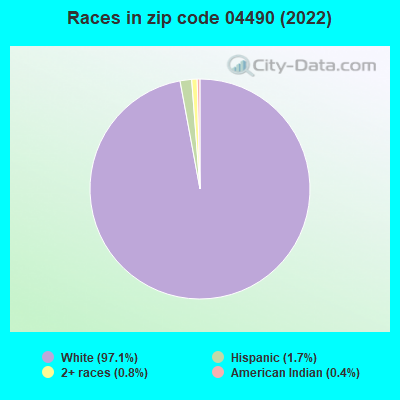 Races in zip code 04490 (2022)