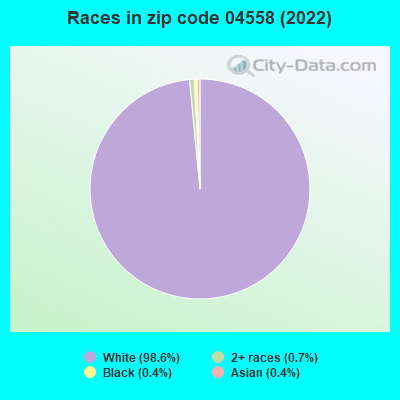 Races in zip code 04558 (2022)