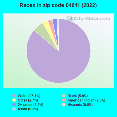 Races in zip code 04611 (2022)